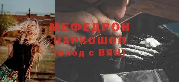 стаф Бердск
