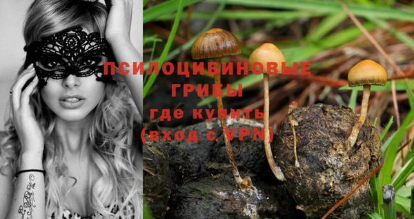 прущая мука Михайловск