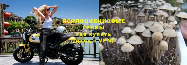 MESCALINE Михайлов
