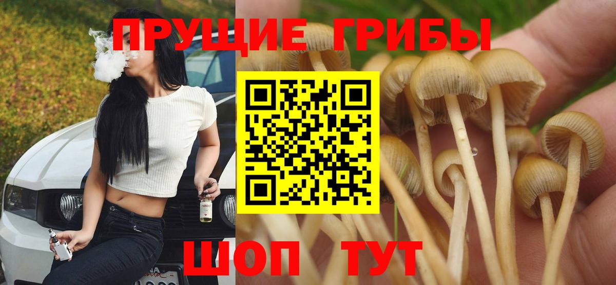 Псилоцибиновые грибы Cubensis Клин