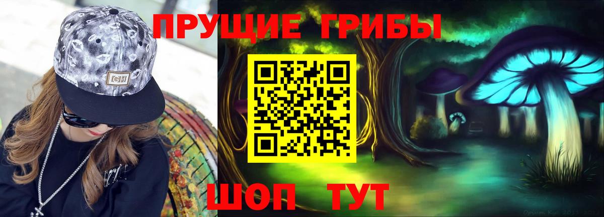 Галлюциногенные грибы Psilocybe  Галлюциногенные грибы Cubensis  Вход с VPN  Клин 
